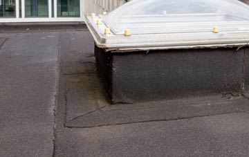 disadvantages of The Rowe flat roofs